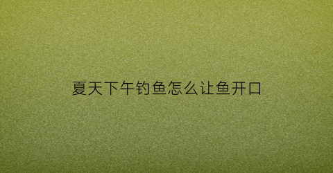 夏天下午钓鱼怎么让鱼开口(夏天下午钓什么点位)