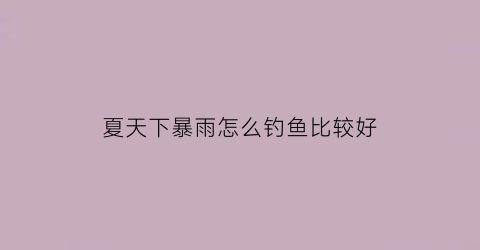 夏天下暴雨怎么钓鱼比较好(夏天下大雨怎么钓鱼)