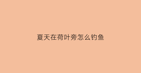 夏天在荷叶旁怎么钓鱼(夏天在荷叶旁怎么钓鱼好)