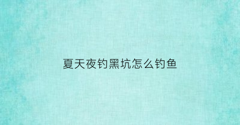 夏天夜钓黑坑怎么钓鱼(夏天夜钓黑坑怎么钓鱼呢)