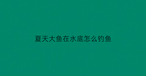“夏天大鱼在水底怎么钓鱼(夏天的鱼在水底还是水面)