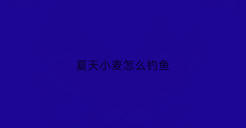夏天小麦怎么钓鱼(小麦苗钓鱼)