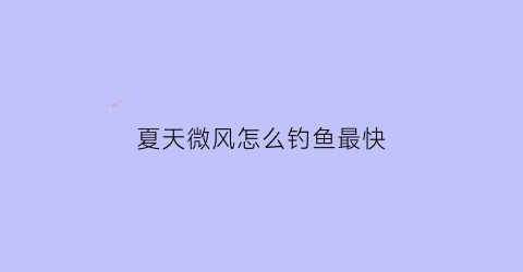 夏天微风怎么钓鱼最快(夏季微风吹)