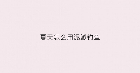 夏天怎么用泥鳅钓鱼(泥鳅党怎么使用泥鳅钓鱼的)