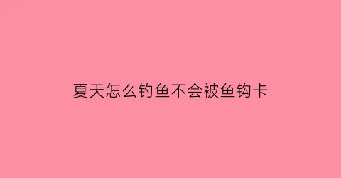 夏天怎么钓鱼不会被鱼钩卡(夏天如何钓到鱼)