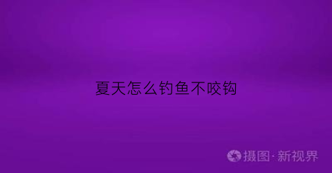 夏天怎么钓鱼不咬钩(夏天怎么钓鱼不咬钩子)