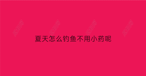 夏天怎么钓鱼不用小药呢(夏天钓鱼用不用打窝)