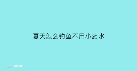 夏天怎么钓鱼不用小药水