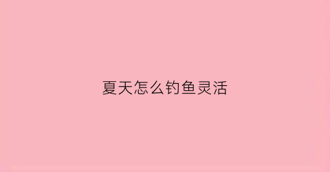 夏天怎么钓鱼灵活(夏天怎么钓鱼灵活一些)