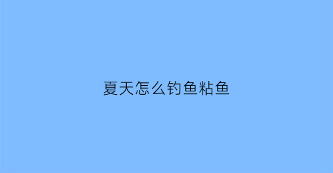 夏天怎么钓鱼粘鱼(夏天怎么钓鱼粘鱼视频)