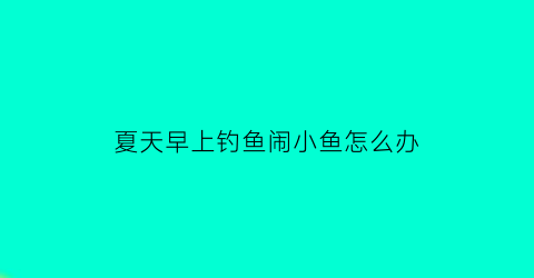 夏天早上钓鱼闹小鱼怎么办