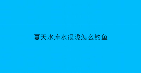 “夏天水库水很浅怎么钓鱼(夏天水库水很浅怎么钓鱼好)