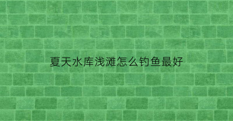 “夏天水库浅滩怎么钓鱼最好(水库浅水区怎么钓鱼)