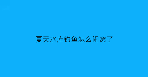 夏天水库钓鱼怎么闹窝了