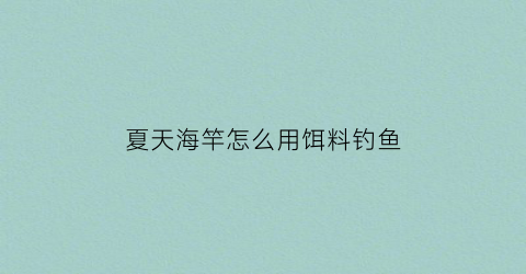 “夏天海竿怎么用饵料钓鱼(夏天海竿钓鱼技巧)