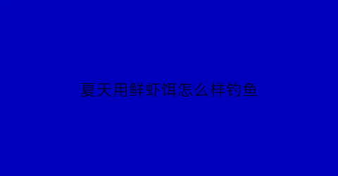 夏天用鲜虾饵怎么样钓鱼(鲜虾鱼饵钓鱼怎么样)