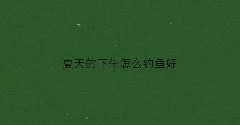 夏天的下午怎么钓鱼好(夏天下午钓鱼应该在什么位置能好一点)