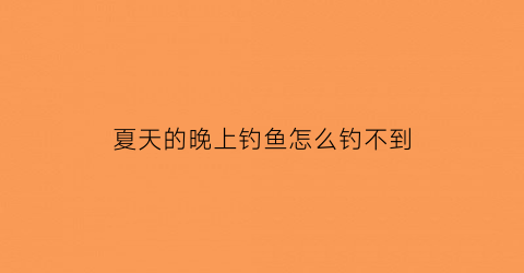 夏天的晚上钓鱼怎么钓不到