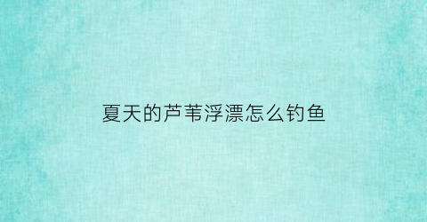 夏天的芦苇浮漂怎么钓鱼(芦苇浮漂适合野钓吗)