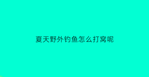 夏天野外钓鱼怎么打窝呢