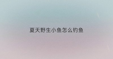 夏天野生小鱼怎么钓鱼