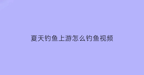 夏天钓鱼上游怎么钓鱼视频(夏天钓鱼上游怎么钓鱼视频教程)