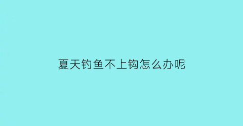 夏天钓鱼不上钩怎么办呢(夏天钓不到鱼怎么办)