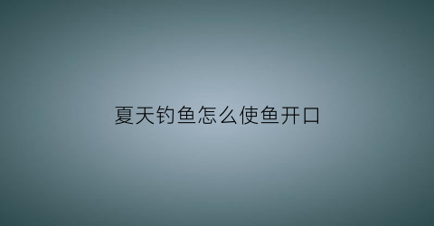 夏天钓鱼怎么使鱼开口