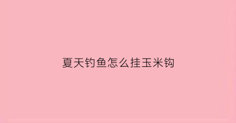 夏天钓鱼怎么挂玉米钩(钓鱼用玉米怎么挂钩)