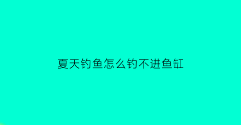 “夏天钓鱼怎么钓不进鱼缸(夏天怎么钓不到鱼)