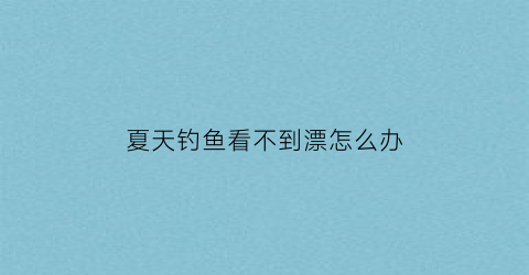 夏天钓鱼看不到漂怎么办(夏天为什么钓鱼没有鱼口)