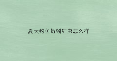夏天钓鱼蚯蚓红虫怎么样
