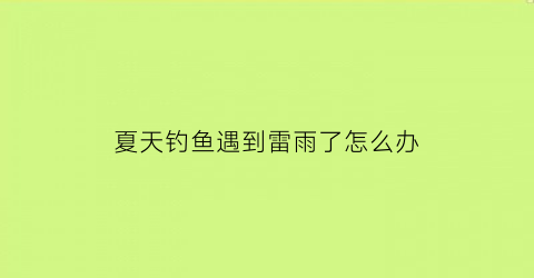 夏天钓鱼遇到雷雨了怎么办