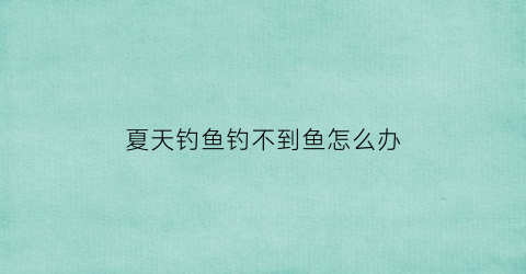 夏天钓鱼钓不到鱼怎么办(夏天钓不到鱼怎么回事)