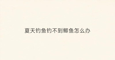 夏天钓鱼钓不到鲫鱼怎么办(夏天钓不到大鲫鱼怎么回事)