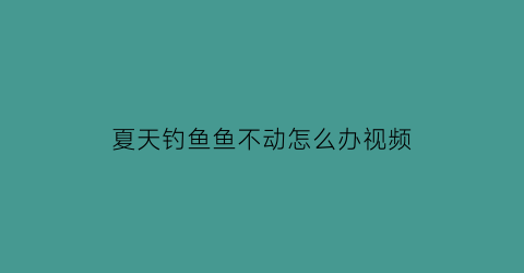 夏天钓鱼鱼不动怎么办视频