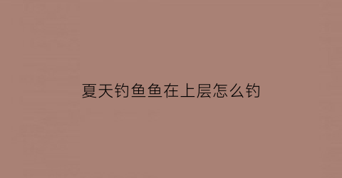 夏天钓鱼鱼在上层怎么钓(钓上层怎么钓中上层的鱼)