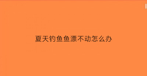夏天钓鱼鱼漂不动怎么办