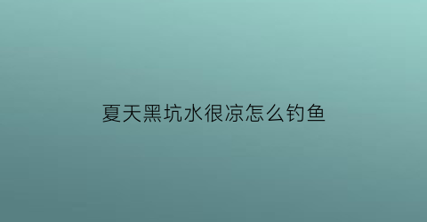 夏天黑坑水很凉怎么钓鱼(夏天黑坑水很凉怎么钓鱼呢)