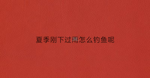 夏季刚下过雨怎么钓鱼呢(夏天刚下过雨怎么钓鱼)