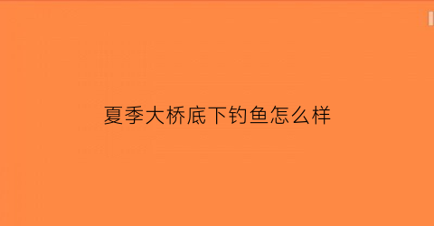 夏季大桥底下钓鱼怎么样