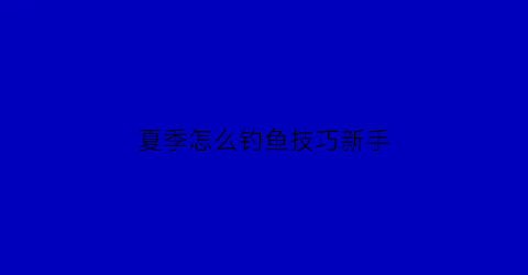夏季怎么钓鱼技巧新手