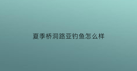 “夏季桥洞路亚钓鱼怎么样(路亚钓桥洞技巧)