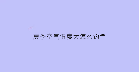 “夏季空气湿度大怎么钓鱼(空气湿度大钓鱼怎么样)