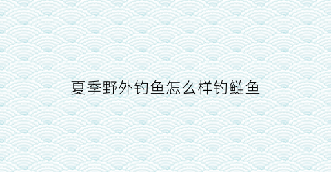夏季野外钓鱼怎么样钓鲢鱼(夏季野外钓鱼怎么样钓鲢鱼呢)