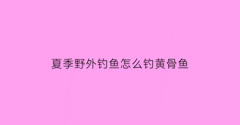 夏季野外钓鱼怎么钓黄骨鱼