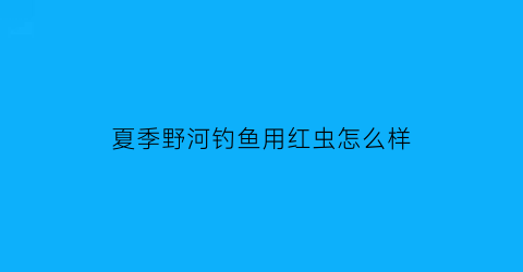 夏季野河钓鱼用红虫怎么样(夏天钓鱼用红虫)