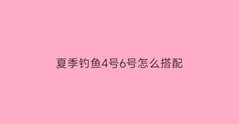 夏季钓鱼4号6号怎么搭配(4号鱼钩钓什么鱼最好)
