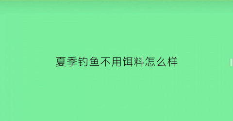 夏季钓鱼不用饵料怎么样