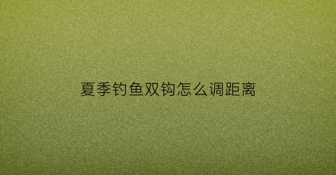 夏季钓鱼双钩怎么调距离(双钩最佳的调钓状态)